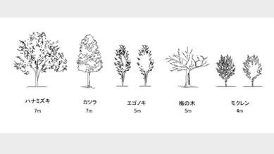 植栽メンテナンス 画像